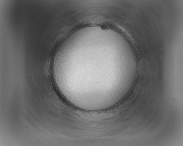 X0000074940018200609221717