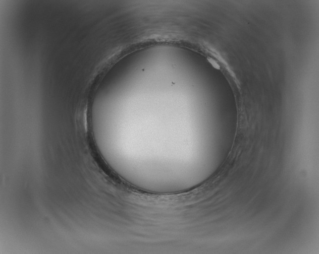 X0000074940019200609221717