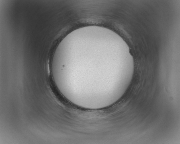 X0000074940020200609221717