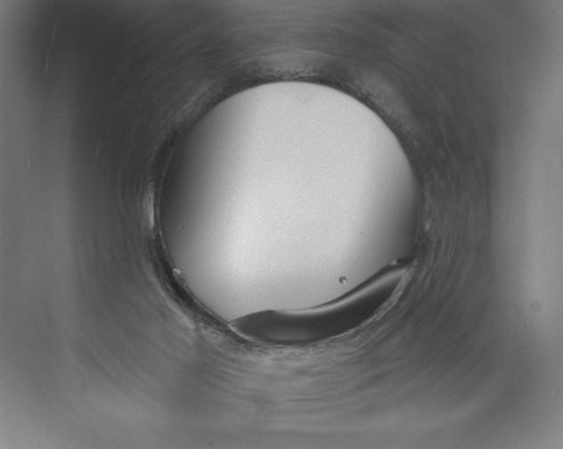 X0000074940021200609221717