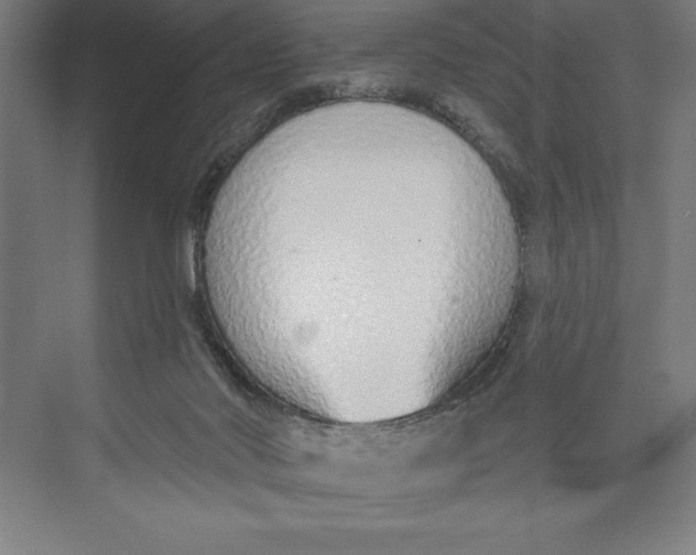 X0000074940022200609221717