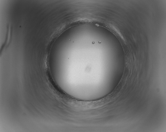 X0000074940023200609221717