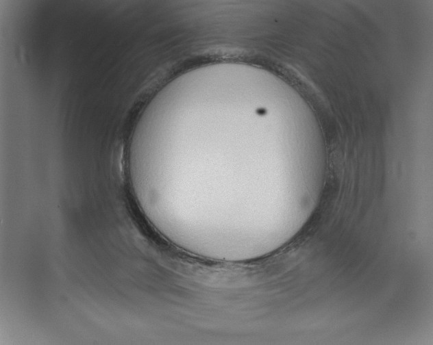 X0000074940024200609221717