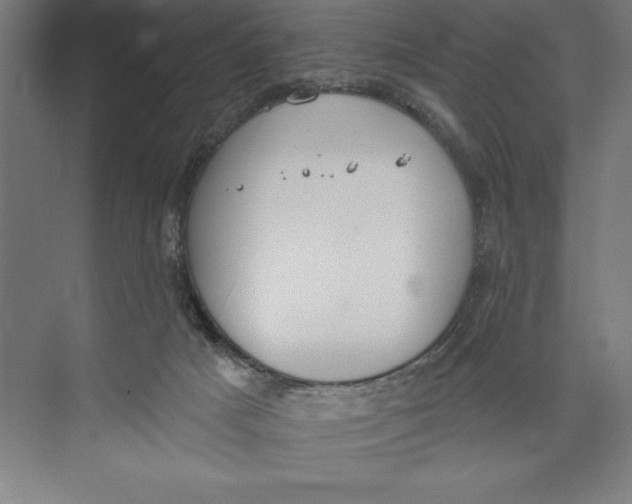 X0000074940025200609221717