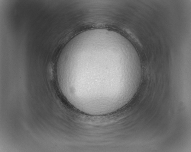 X0000074940026200609221717