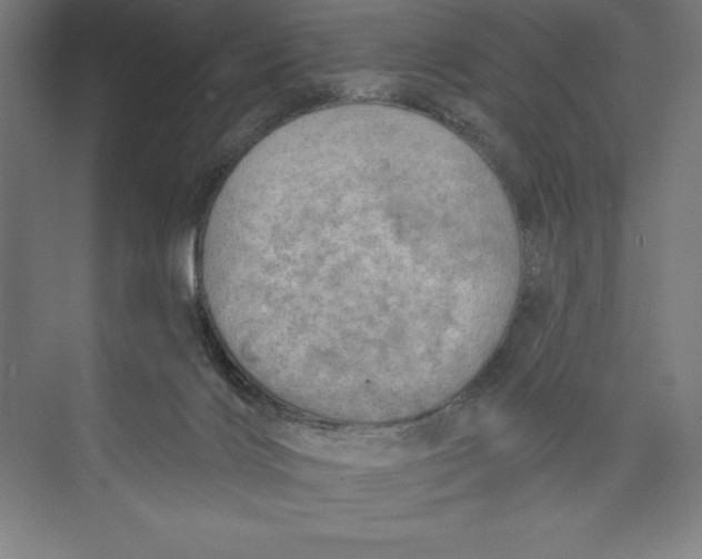 X0000074940028200609221717