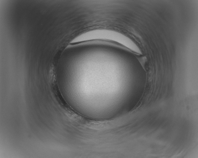 X0000074940029200609221716