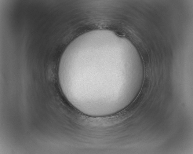 X0000074940030200609221716