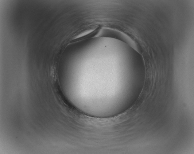 X0000074940031200609221716