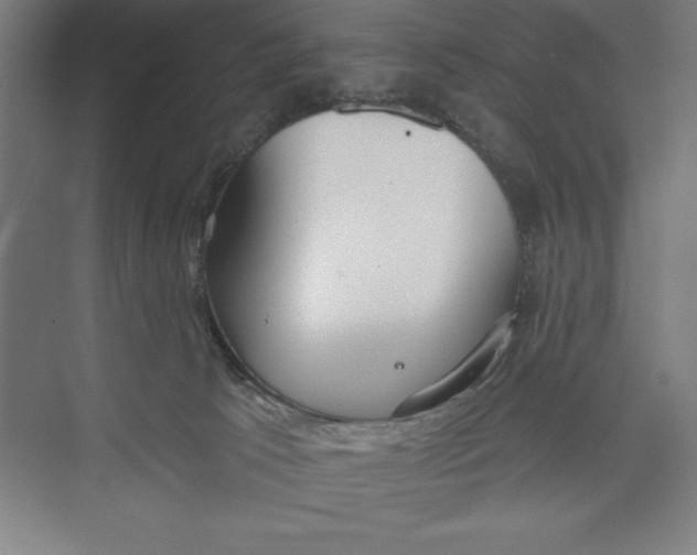 X0000074940033200609221716