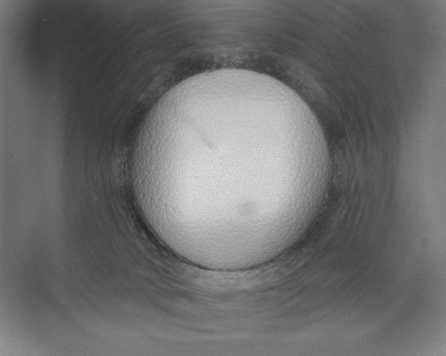 X0000074940034200609221716