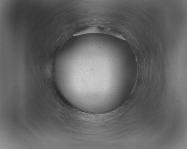 X0000074940035200609221716