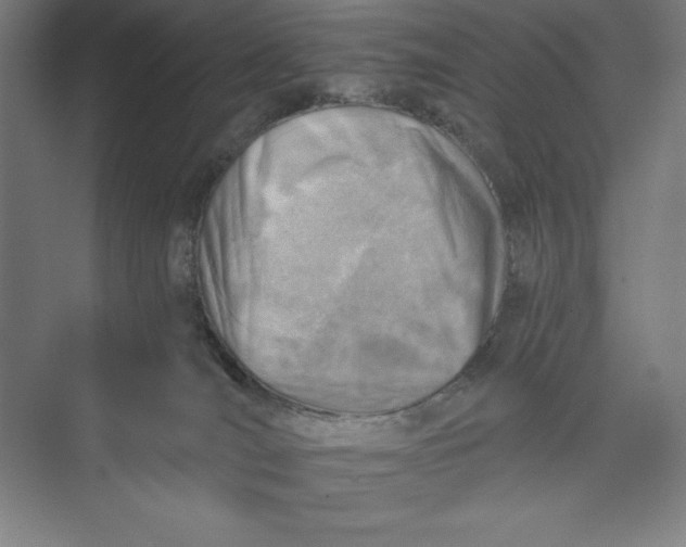 X0000074940036200609221716