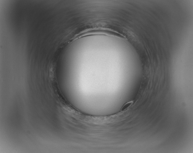 X0000074940037200609221716