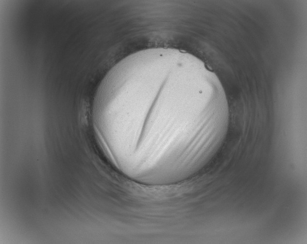 X0000074940038200609221716