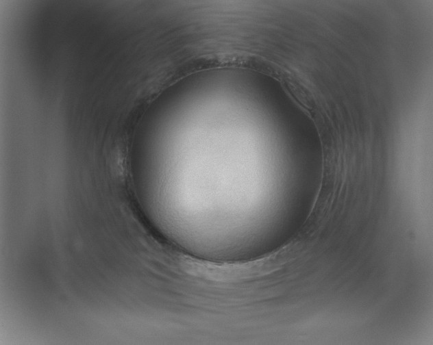 X0000074940039200609221716