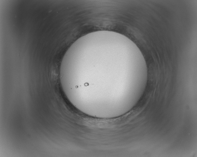 X0000074940040200609221716