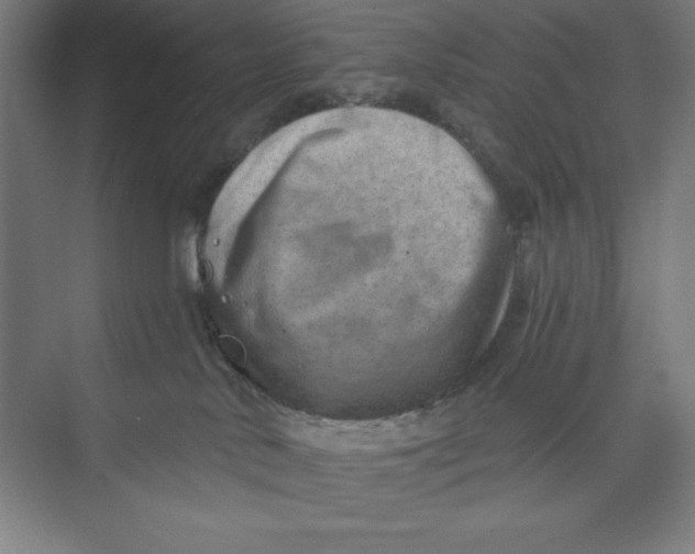 X0000074940042200609221716