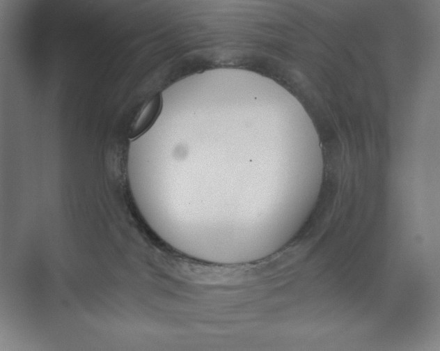 X0000074940044200609221716