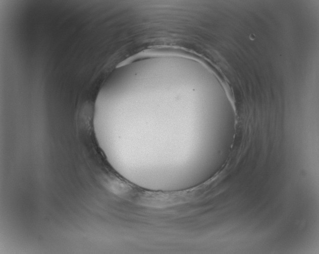 X0000074940045200609221716