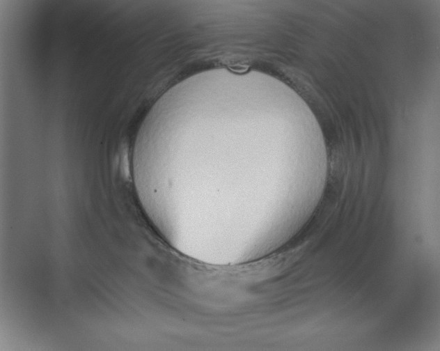 X0000074940046200609221716