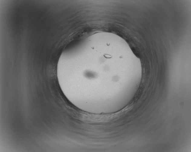 X0000074940048200609221716