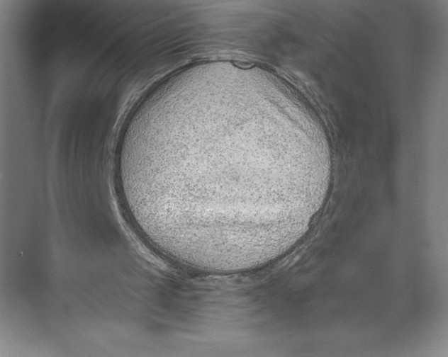 X0000074940049200609221715