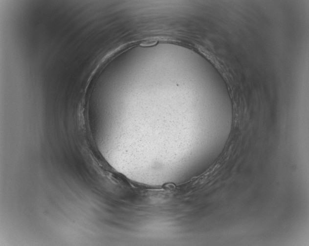 X0000074940050200609221715