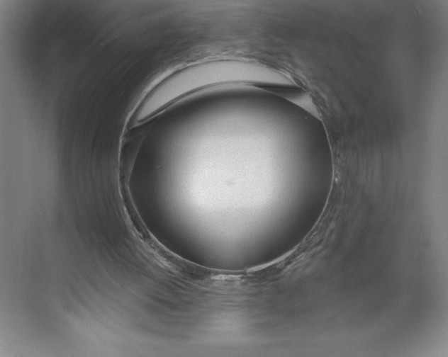 X0000074940052200609221715