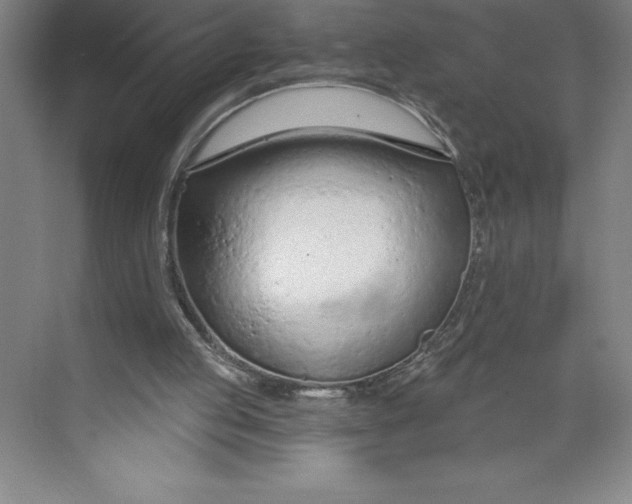 X0000074940053200609221715