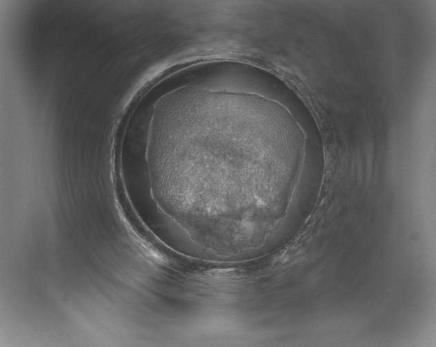 X0000074940054200609221715