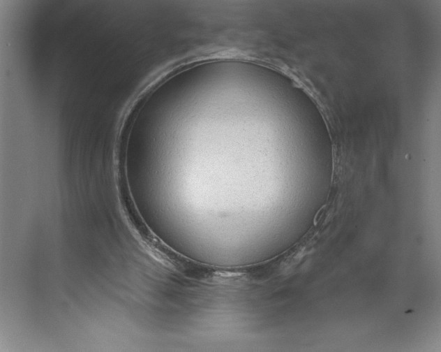 X0000074940055200609221715