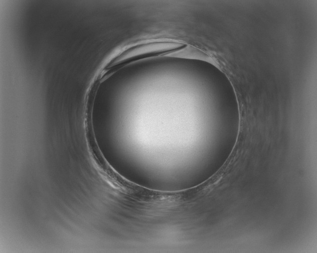 X0000074940056200609221715