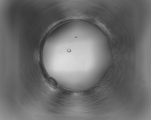 X0000074940060200609221716