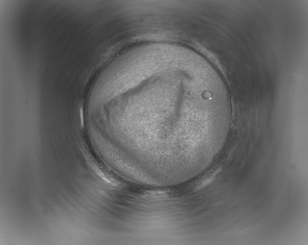 X0000074940061200609221716