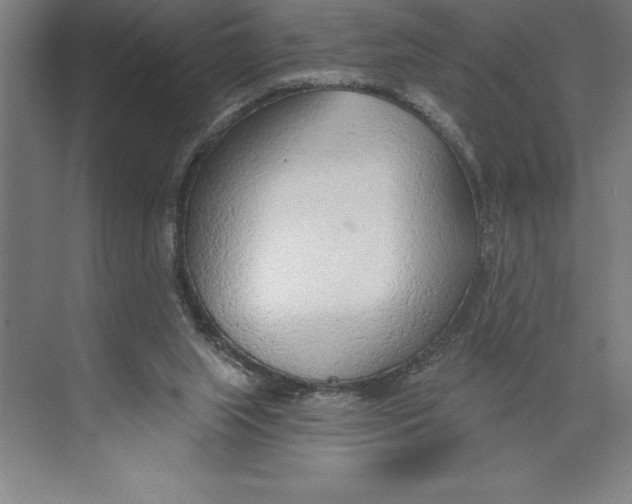 X0000074940063200609221716