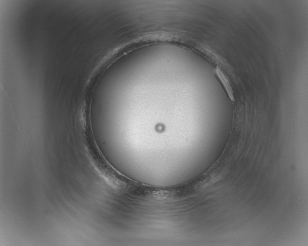 X0000074940064200609221716