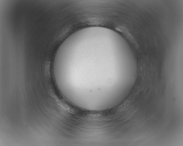 X0000074940066200609221716