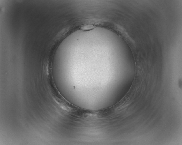 X0000074940068200609221716