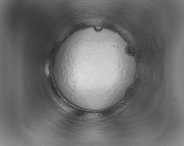 X0000074940069200609221716