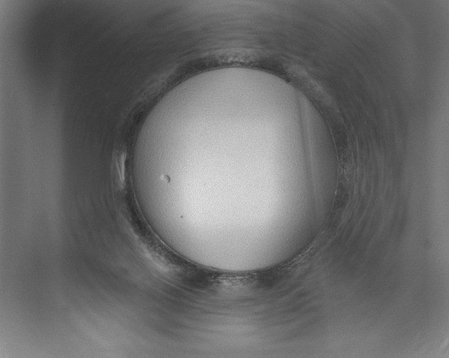 X0000074940070200609221716