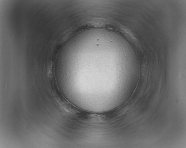 X0000074940073200609221716