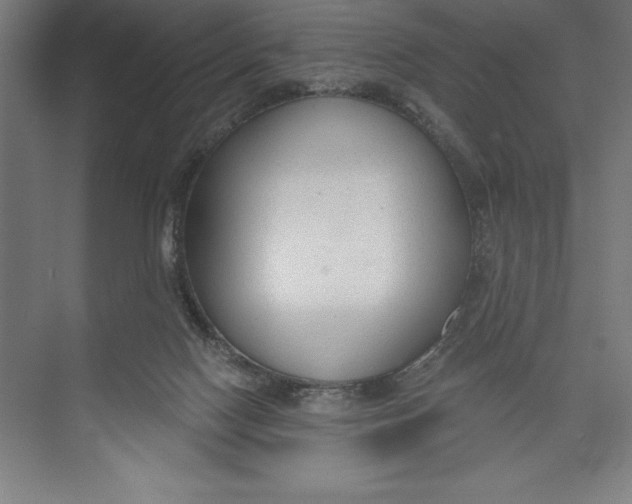 X0000074940074200609221716