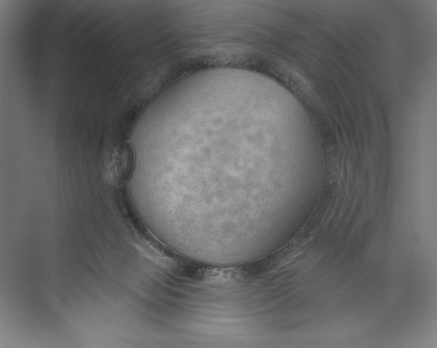 X0000074940077200609221716