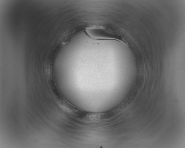 X0000074940084200609221716