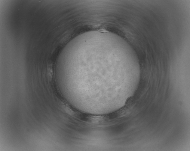 X0000074940085200609221716