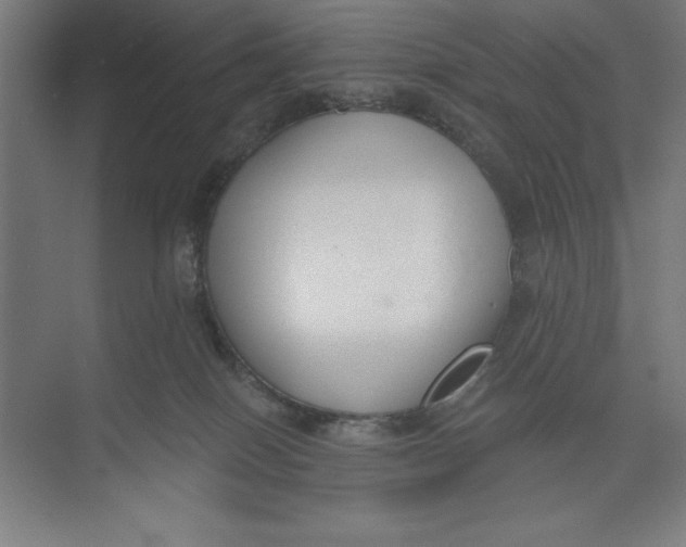 X0000074940086200609221716