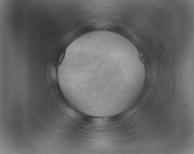 X0000074940089200609221716