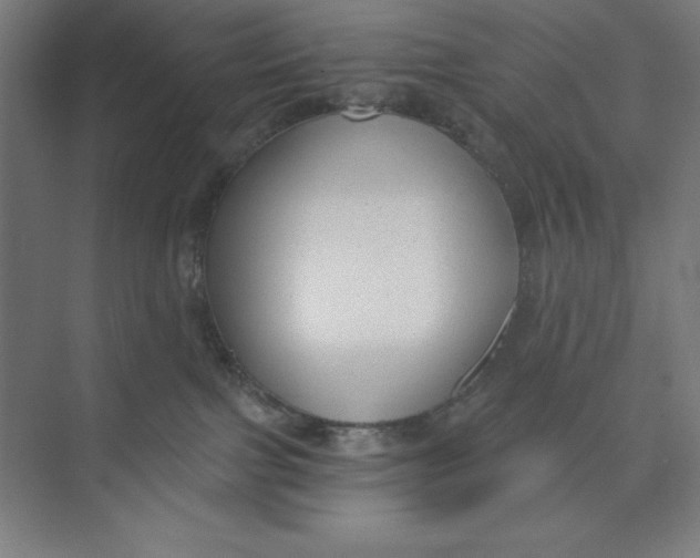 X0000074940091200609221716