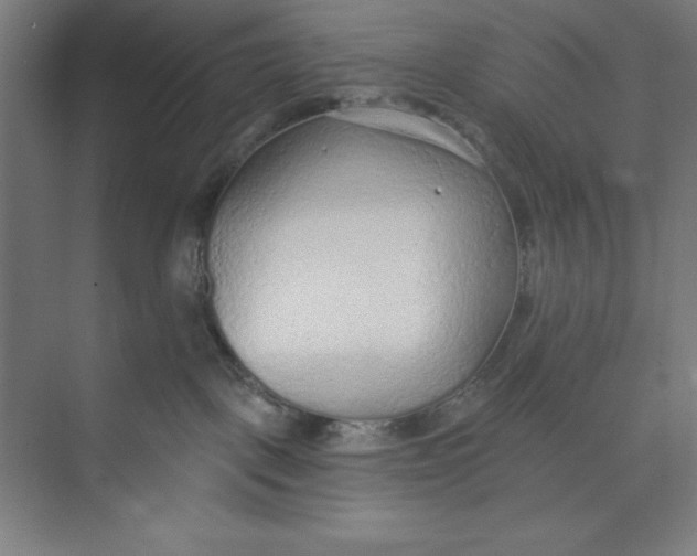 X0000074940093200609221716